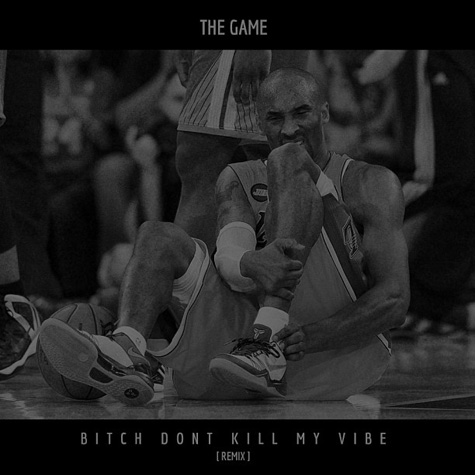 Bitch, Don't Kill My Vibe (Remix)